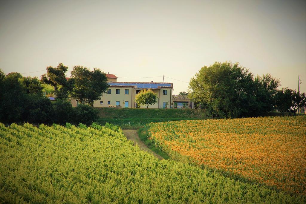 B&B Ceresa - Country House Loreto Exterior foto